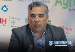 Organizan la primera "Arts + Fashion Gala 2025", en favor de animales en abandono Organizan la primera "Arts + Fashion Gala 2025", en favor de animales en abandono