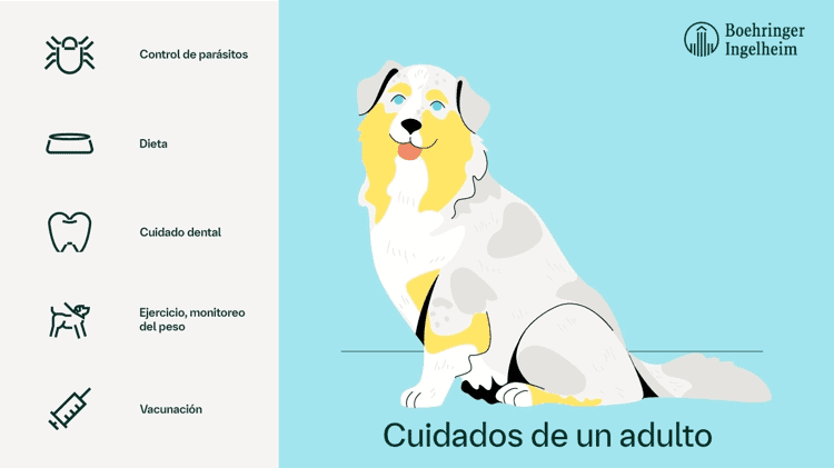 imagen-cuerpo imagen-cuerpo