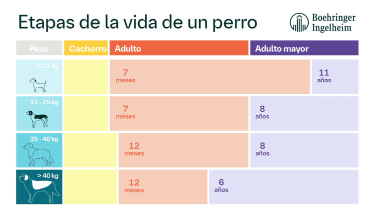 imagen-cuerpo imagen-cuerpo