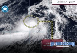 ¿Cómo cambian las necesidades de proteína con la edad?