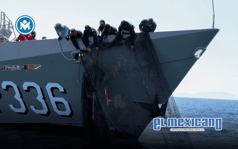 Buzos retiran red fantasma de 100 metros en el Parque Nacional Espíritu Santo Buzos retiran red fantasma de 100 metros en el Parque Nacional Espíritu Santo