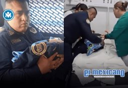 Confirman casos humanos de gusano barrenador en México