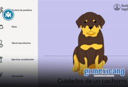 Malaria o Paludismo: la vigilancia molecular puede ayudar a combatir la enfermedad en México Malaria o Paludismo: la vigilancia molecular puede ayudar a combatir la enfermedad en México