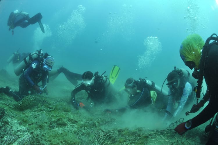 imagen-cuerpo imagen-cuerpo