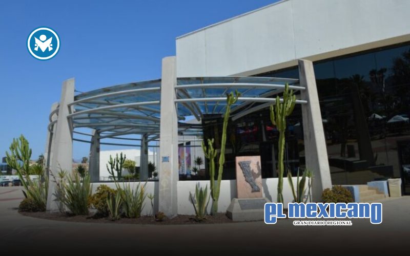 CEART Ensenada presenta su oferta académica 2025-2 para la población infantil y juvenil