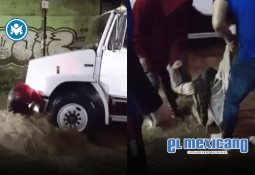 Perro se salva de caer de un balcón en Sincelejo gracias a su dueña