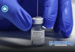 Retos y oportunidades para un campo mexicano más justo: el llamado de AHIFORES Retos y oportunidades para un campo mexicano más justo: el llamado de AHIFORES