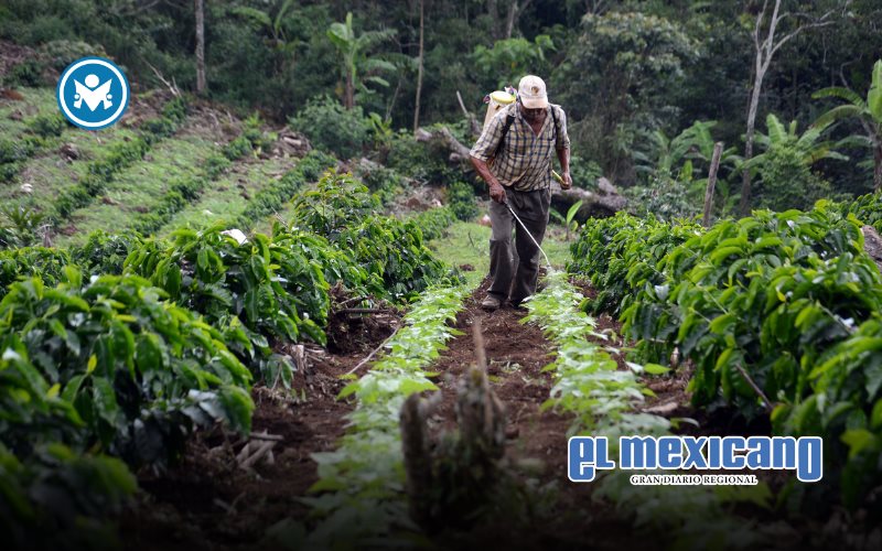Retos y oportunidades para un campo mexicano más justo: el llamado de AHIFORES Retos y oportunidades para un campo mexicano más justo: el llamado de AHIFORES