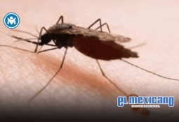 Puebla se posiciona como uno de los estados con más cuentas de inversión en México Puebla se posiciona como uno de los estados con más cuentas de inversión en México