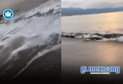 Sheinbaum tilda a Alito Moreno de porro tras agresión a Noroña en el Senado