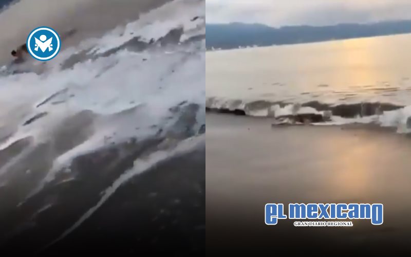 Adolescente se salva de mordida de cocodrilo en Puerto Vallarta