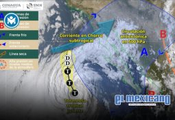 La UABC invita al festival gratuito por el envejecimiento cognitivo responsable: FESTIVIDA La UABC invita al festival gratuito por el envejecimiento cognitivo responsable: FESTIVIDA