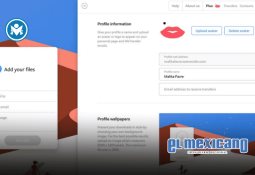 ¿Por qué Instagram y TikTok están matando negocios de un día para otro?