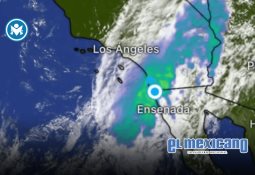 Más de 71 mil metros cuadrados de calles rehabilitadas en programa de bacheo