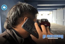 Gina Arana exige atender iniciativa para retirar postes deteriorados