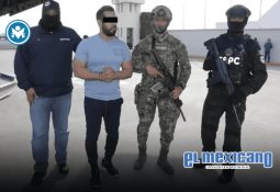 Alito Moreno desafía a Noroña en el Senado: “No seas cobarde” Alito Moreno desafía a Noroña en el Senado: “No seas cobarde”