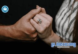 Perro se salva de caer de un balcón en Sincelejo gracias a su dueña