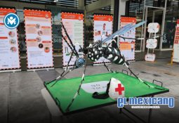 Hallan asesinada a la influencer Esmeralda FG junto a su familia en Guadalajara Hallan asesinada a la influencer Esmeralda FG junto a su familia en Guadalajara