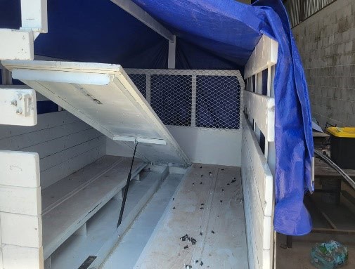 imagen-cuerpo imagen-cuerpo