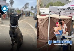 Refuerzan seguridad vial ante regreso a clases