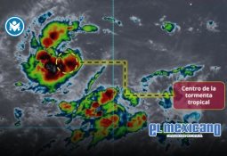 Cae valor de exportaciones agroalimentarias más de mil millones de dólares al primer semestre Cae valor de exportaciones agroalimentarias más de mil millones de dólares al primer semestre