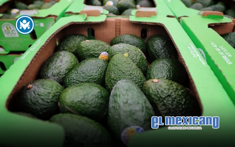 Cae valor de exportaciones agroalimentarias más de mil millones de dólares al primer semestre Cae valor de exportaciones agroalimentarias más de mil millones de dólares al primer semestre