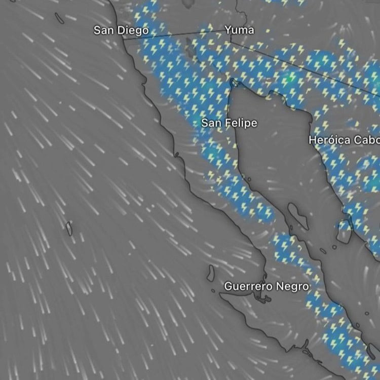 imagen-cuerpo imagen-cuerpo