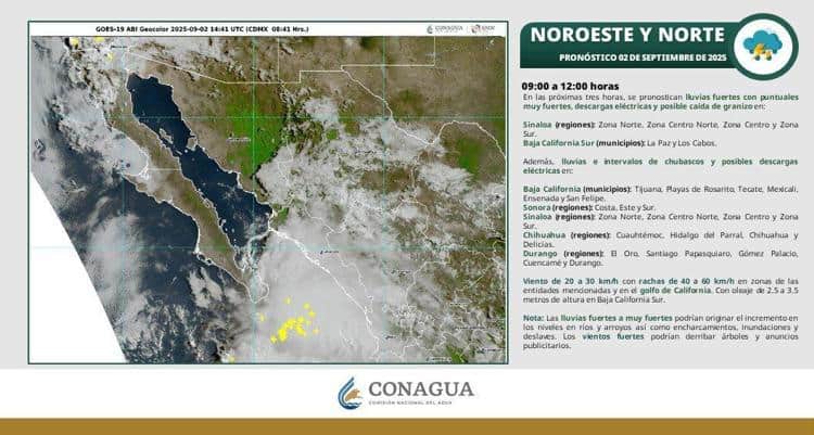 imagen-cuerpo imagen-cuerpo