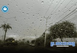 Nueva presidenta de la Barra de Abogadas exige cero margen de error en jueces recién designados Nueva presidenta de la Barra de Abogadas exige cero margen de error en jueces recién designados