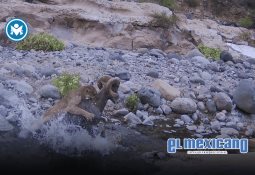 Llega a Tijuana la Fábrica de Negocio, evento que impulsará el crecimiento empresarial