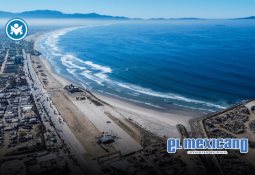 Proponen infraestructura verde en camellones para mejorar gestión del agua