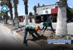 Evalúa CCE primeros 11 meses del gobierno con balance mixto