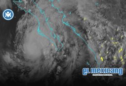 Fotografía de puma cazando a cimarrón en el Valle de los Cirios maravilla a científicos