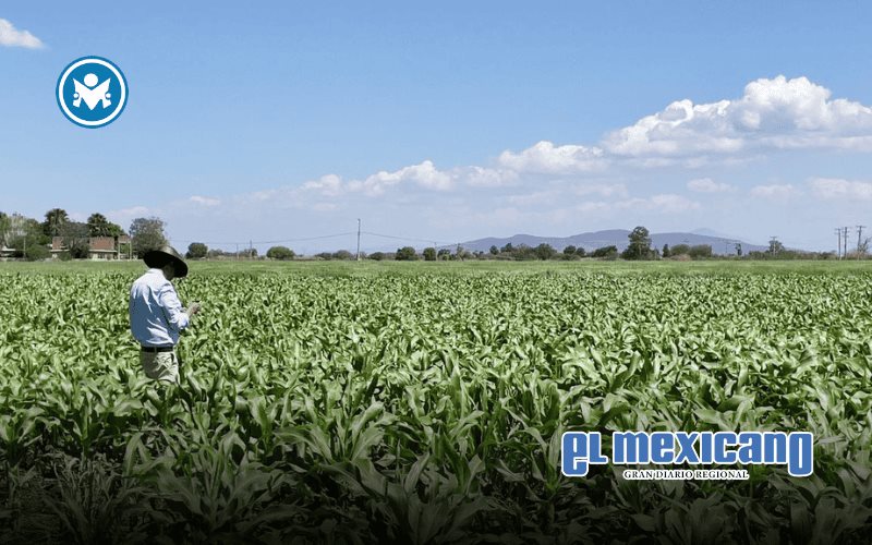 Gobierno y UMFFAAC acuerdan nuevos fitosanitarios para proteger salud y cultivos Gobierno y UMFFAAC acuerdan nuevos fitosanitarios para proteger salud y cultivos