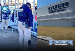 Desarrollan fármacos que alargan la vida saludable de los perros Desarrollan fármacos que alargan la vida saludable de los perros