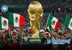 Niño recibe bate firmado tras viral confrontación por pelota de home run en la MLB