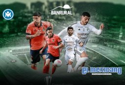 Niño recibe bate firmado tras viral confrontación por pelota de home run en la MLB