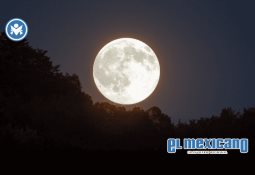 Estas son las novedades del nuevo iPhone 17 presentado por Apple Estas son las novedades del nuevo iPhone 17 presentado por Apple