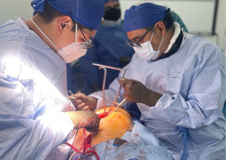 imagen-cuerpo imagen-cuerpo