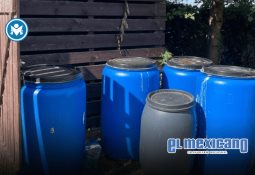 Dieta mediterránea española: un escudo natural contra el Alzheimer Dieta mediterránea española: un escudo natural contra el Alzheimer