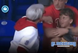 Cereza, la perrita embarazada que sobrevivió a explosión en Iztapalapa, lucha por su vida