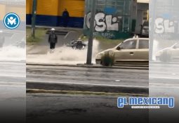 Senderistas fueron sorprendidos por un puma en San Pedro Mártir