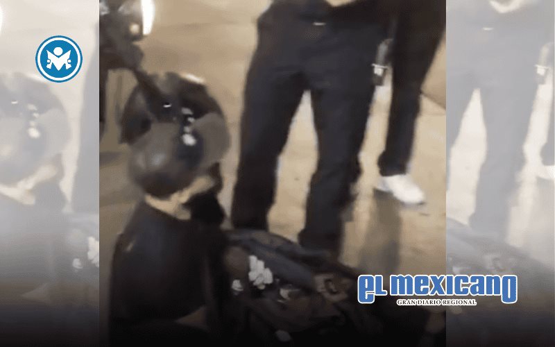 Ciclista rescata a bebé recién nacida abandonada en calles de GAM Ciclista rescata a bebé recién nacida abandonada en calles de GAM