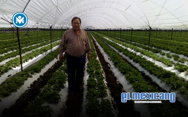 La Guerra del Agua: Los mitos sobre su uso en un escenario de cambio climático La Guerra del Agua: Los mitos sobre su uso en un escenario de cambio climático