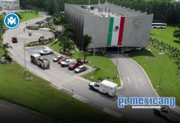 Manchas el primer perro que tiene la capacidad de detectar fugas de agua en México Manchas el primer perro que tiene la capacidad de detectar fugas de agua en México