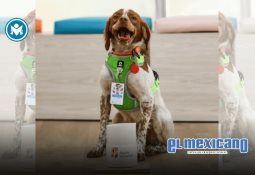 BSale busca digitalizar y fortalecer a microempresarios en Tijuana