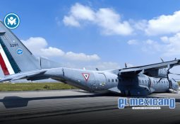 Construyendo justicia incluyente: la nueva figura de apoyo en salud mental en México Construyendo justicia incluyente: la nueva figura de apoyo en salud mental en México