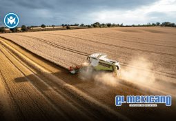 Alicia, la abuelita que protegió a su nieta tras explosión