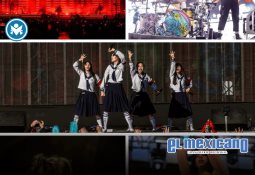 Amapola rompe retiro voluntario de luminaria veracruzana Amapola rompe retiro voluntario de luminaria veracruzana