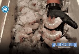 CBP abre subasta por inventario